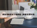 临夏黑客漫画素材下载网站（黑客动漫头像）